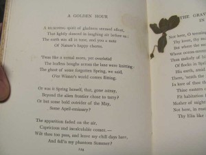 The Poems of William Watson - A Golden Hour